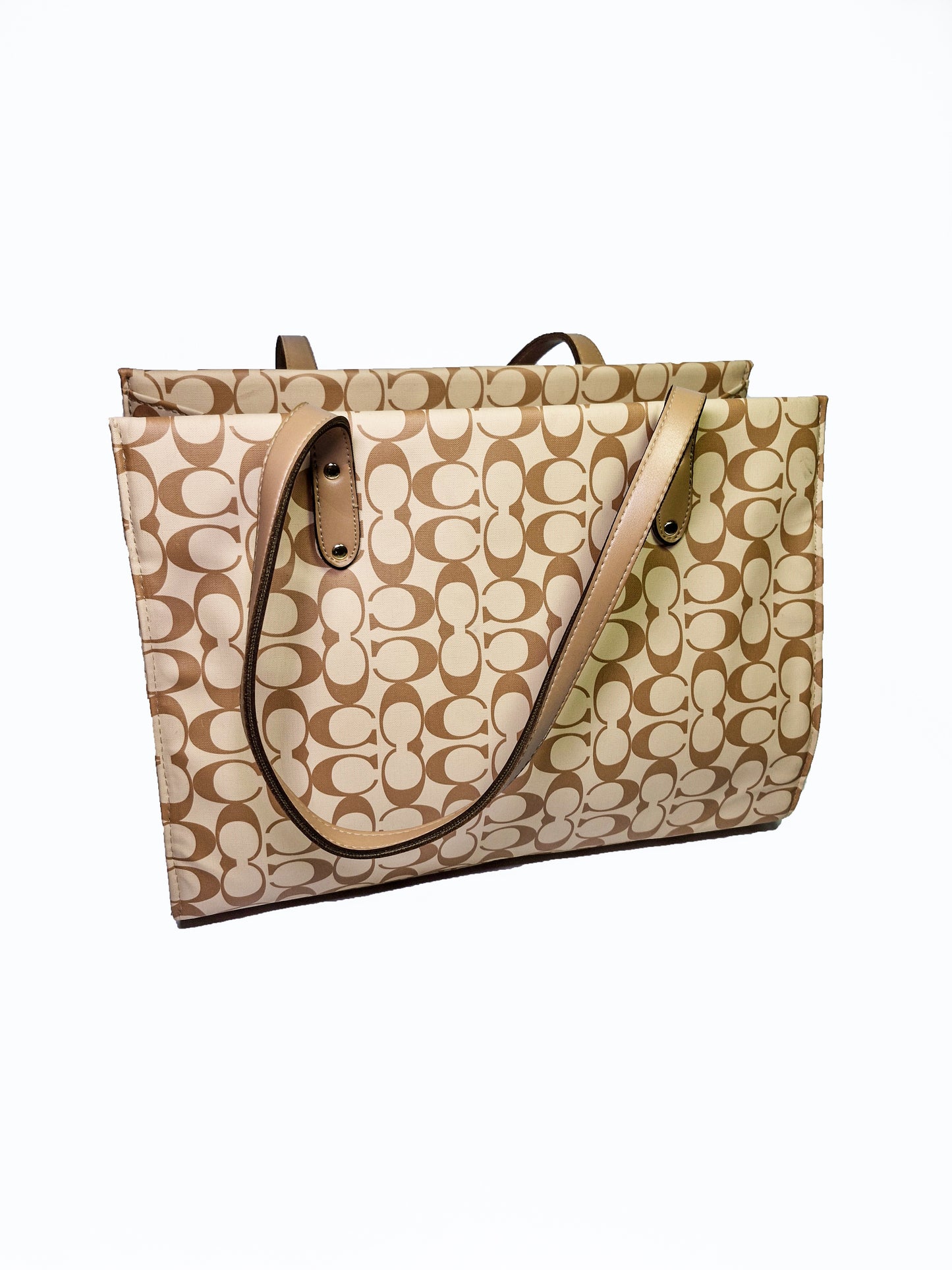 Luxury Skin Color Coach Bag – Gucci Style Spacious & Sophisticated"